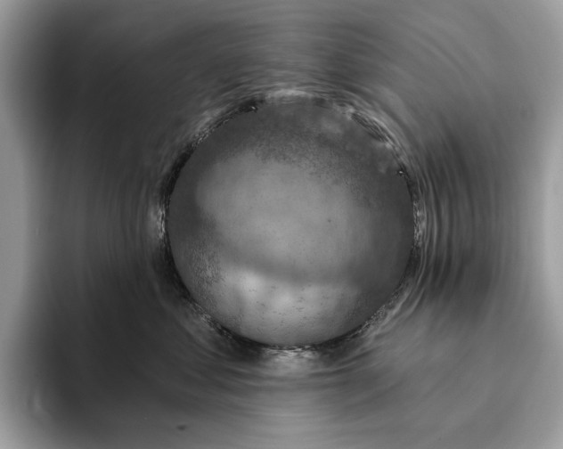 X0000093170621200710171229