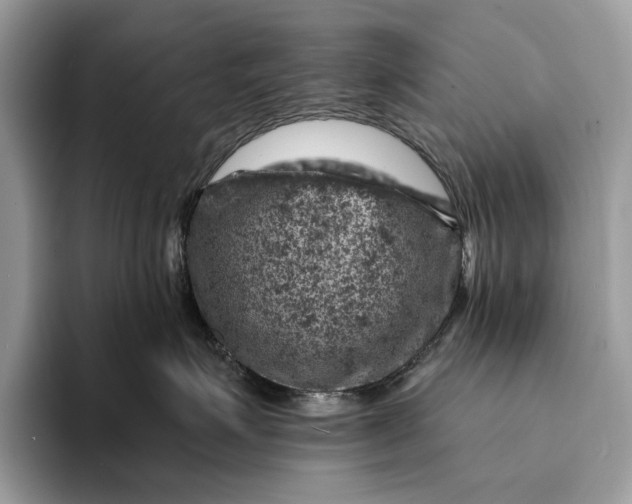 X0000093170623200710171229