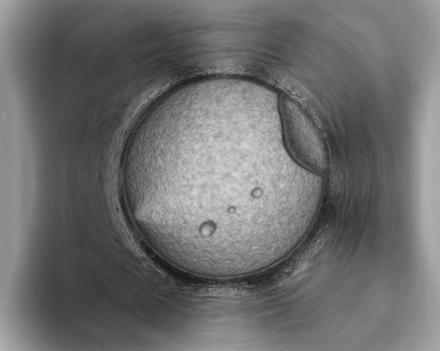 X0000093170625200710171228