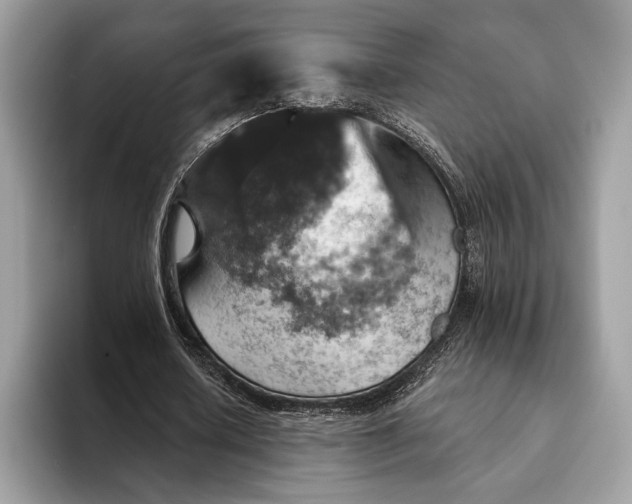 X0000093170626200710171228