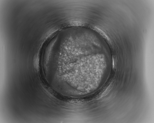 X0000093170627200710171228