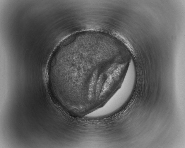 X0000093170628200710171228