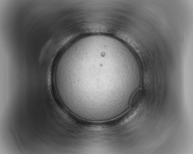 X0000093170629200710171228