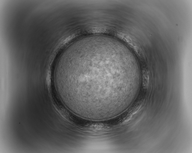 X0000093170631200710171228