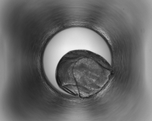 X0000093170633200710171228