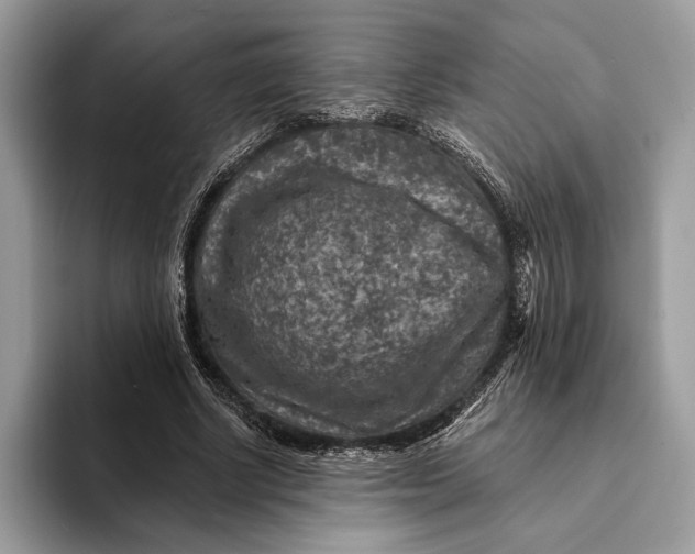 X0000093170634200710171228