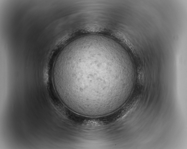 X0000093170635200710171228