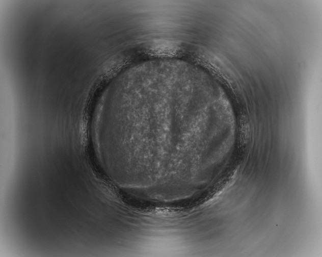 X0000093170641200710171229