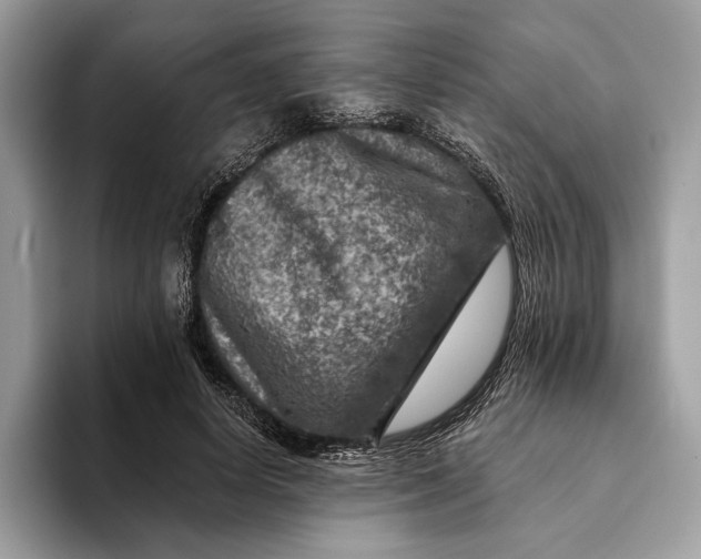 X0000093170642200710171229