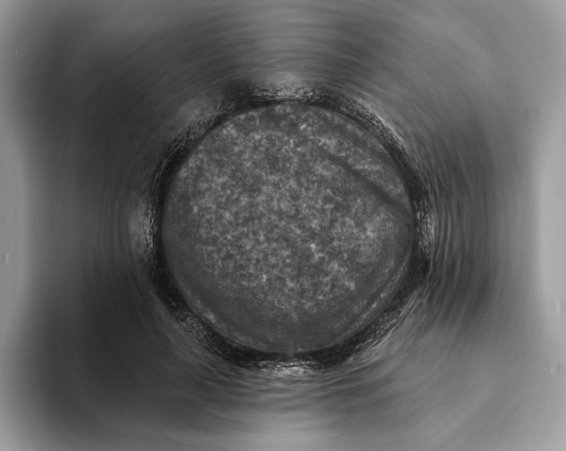 X0000093170643200710171229