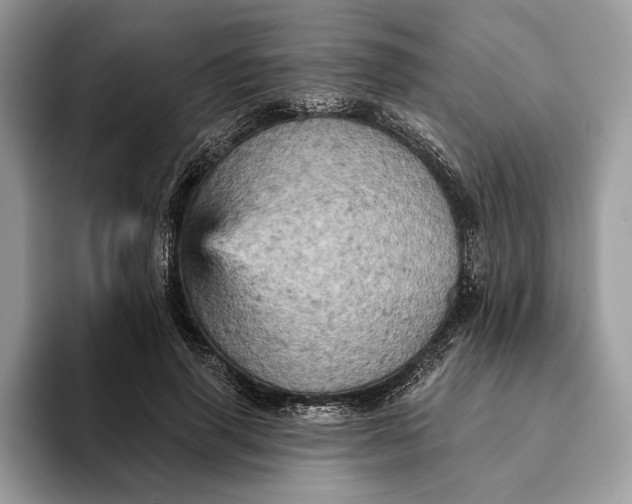 X0000093170645200710171229