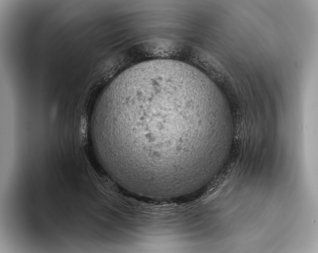 X0000093170646200710171229