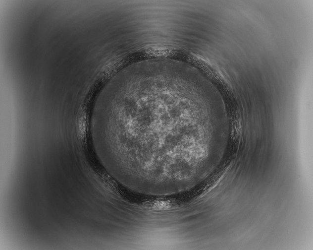 X0000093170647200710171229