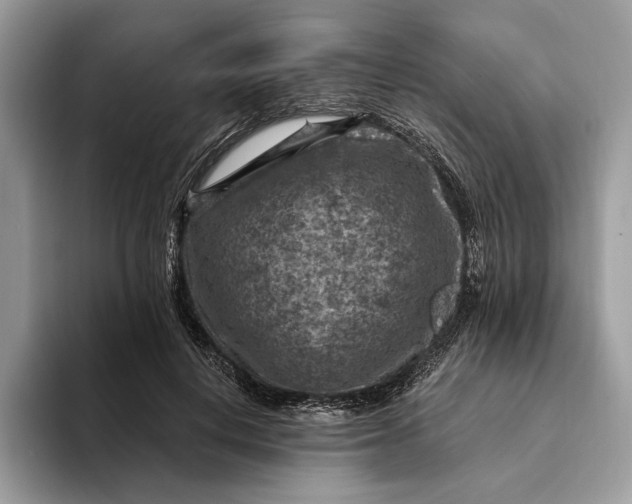 X0000093170648200710171229