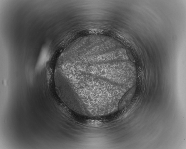 X0000093170649200710171229