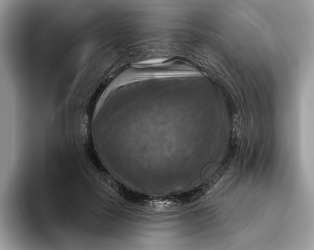 X0000093170650200710171229