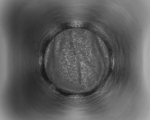 X0000093170652200710171229