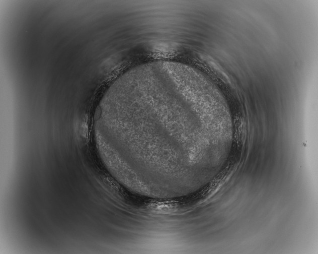 X0000093170655200710171229