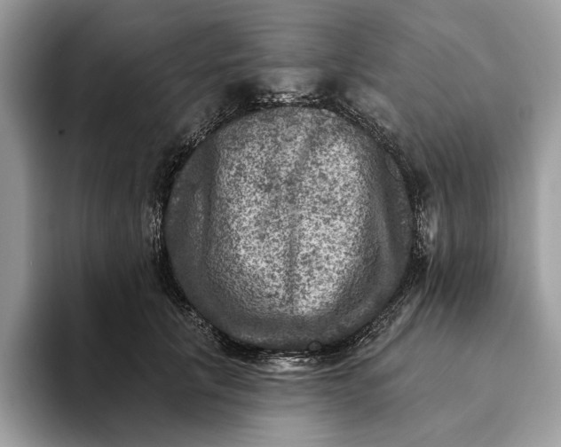 X0000093170657200710171229