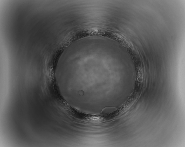 X0000093170659200710171229