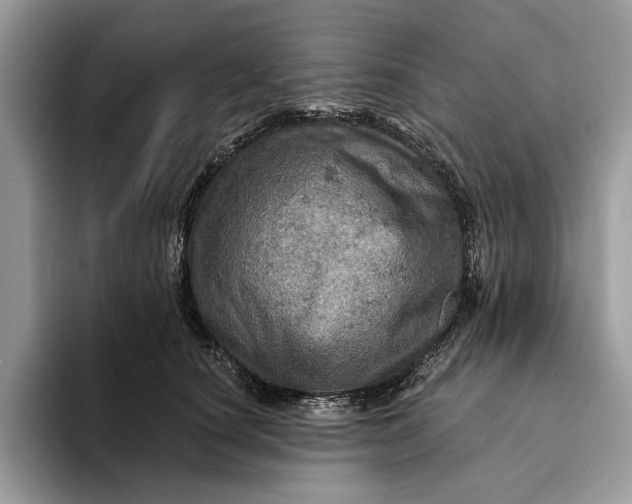 X0000093170660200710171229