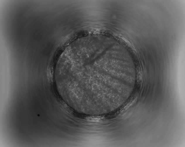 X0000093170661200710171229