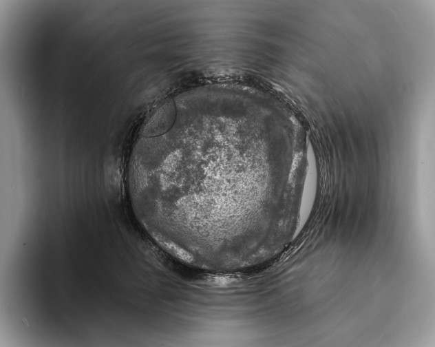 X0000093170662200710171229