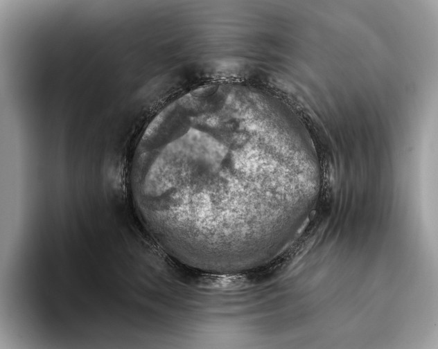 X0000093170663200710171229