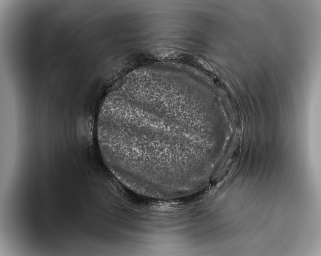 X0000093170664200710171229