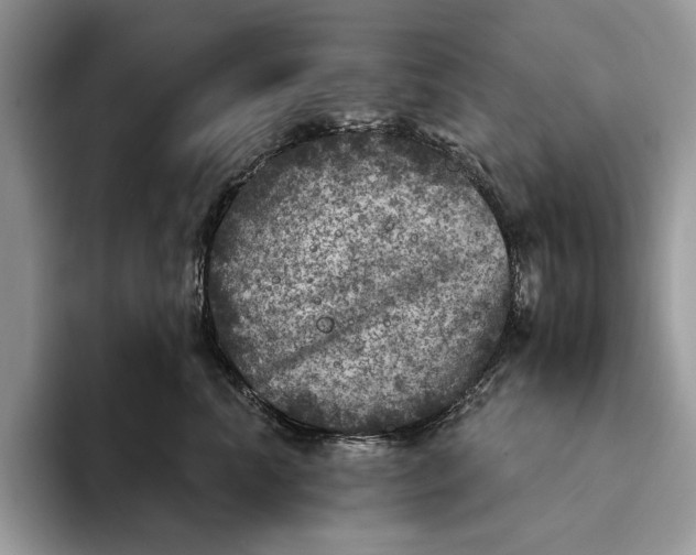 X0000093170666200710171229