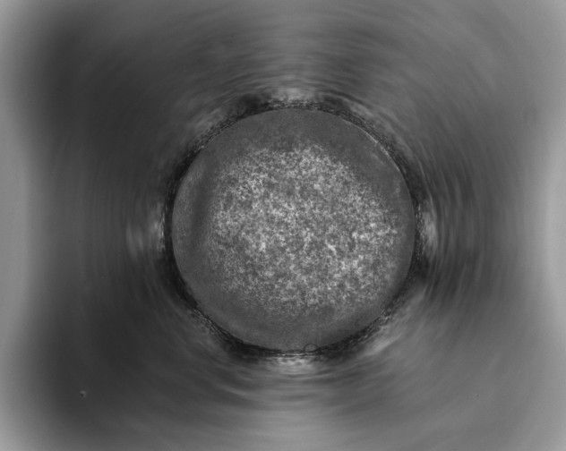 X0000093170668200710171229