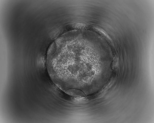 X0000093170669200710171229