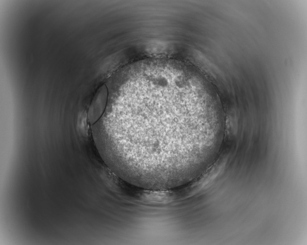 X0000093170671200710171229