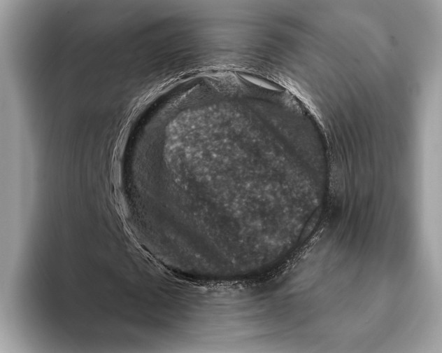 X0000093170673200710171228