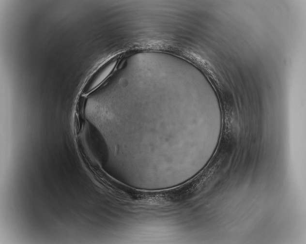 X0000093170674200710171228