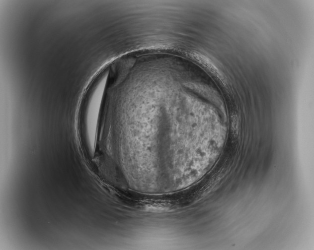 X0000093170676200710171228