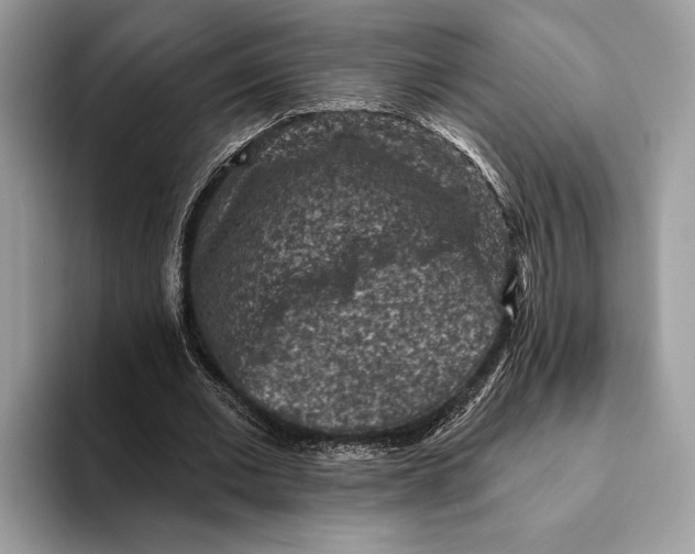 X0000093170677200710171228