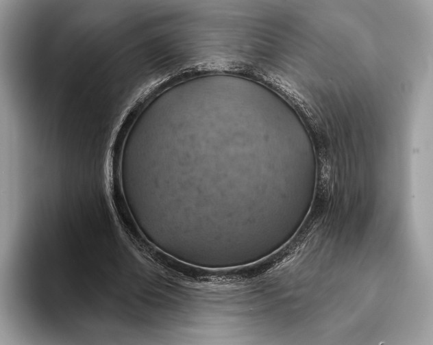 X0000093170678200710171228