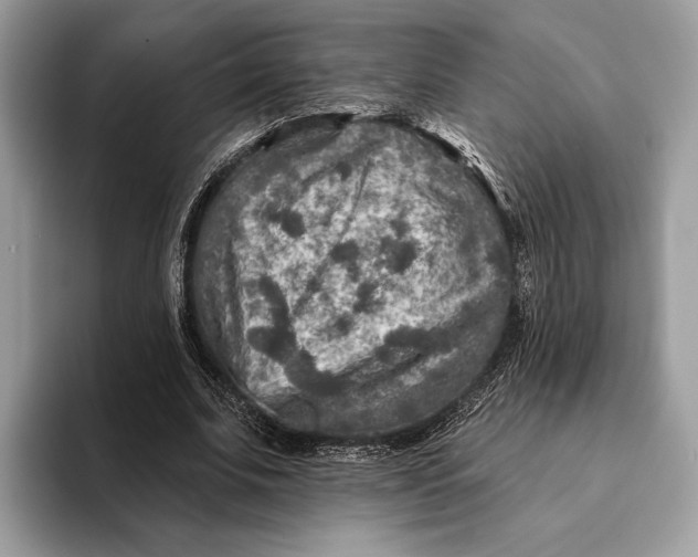 X0000093170679200710171228