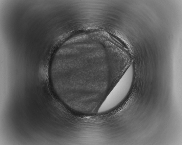 X0000093170681200710171228