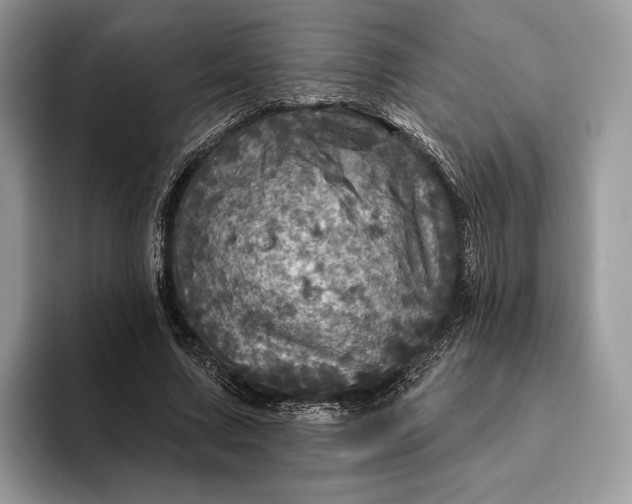 X0000093170683200710171228