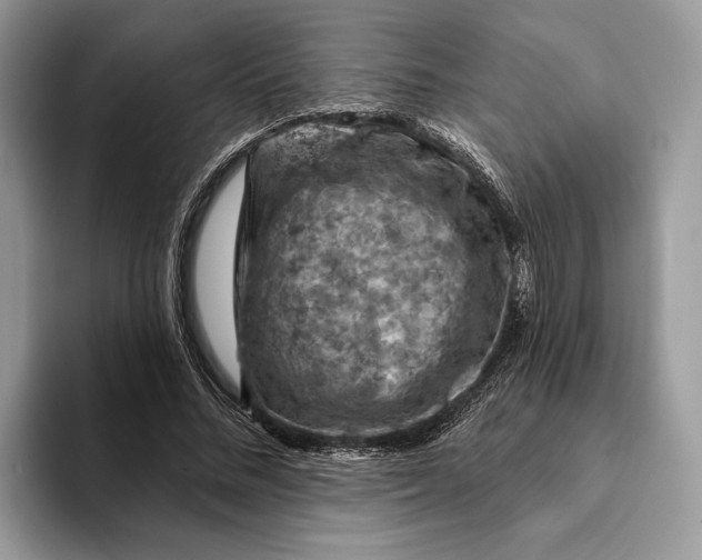 X0000093170684200710171228