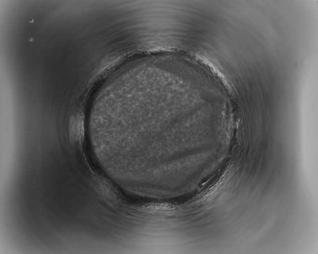 X0000093170685200710171228