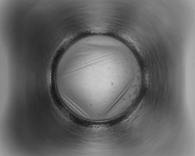 X0000093170686200710171228