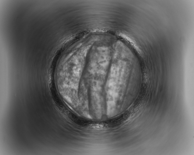 X0000093170687200710171228