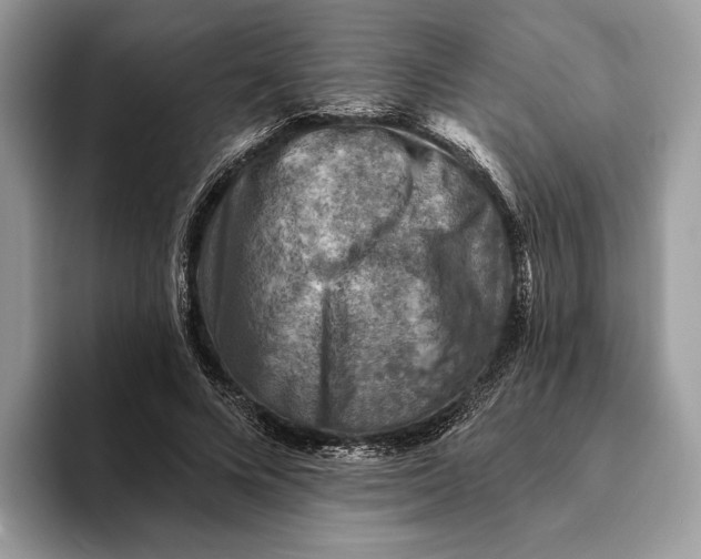 X0000093170688200710171228