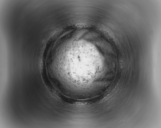 X0000093170690200710171228