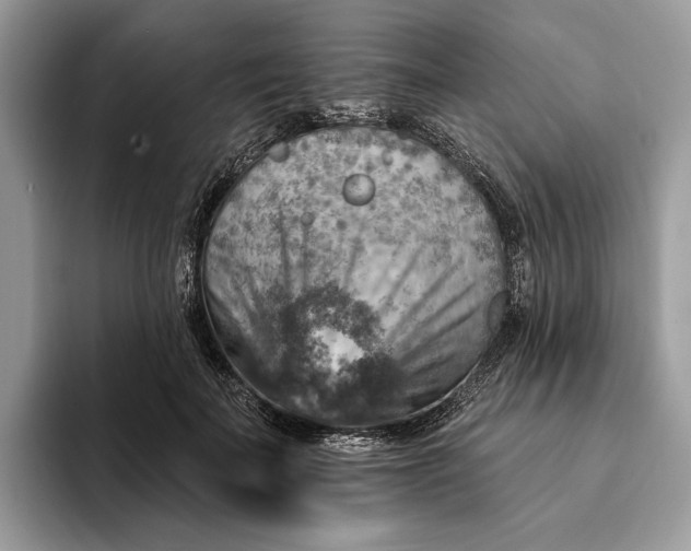 X0000093170699200710171228