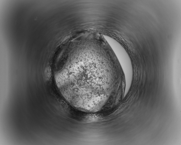 X0000093170704200710171228