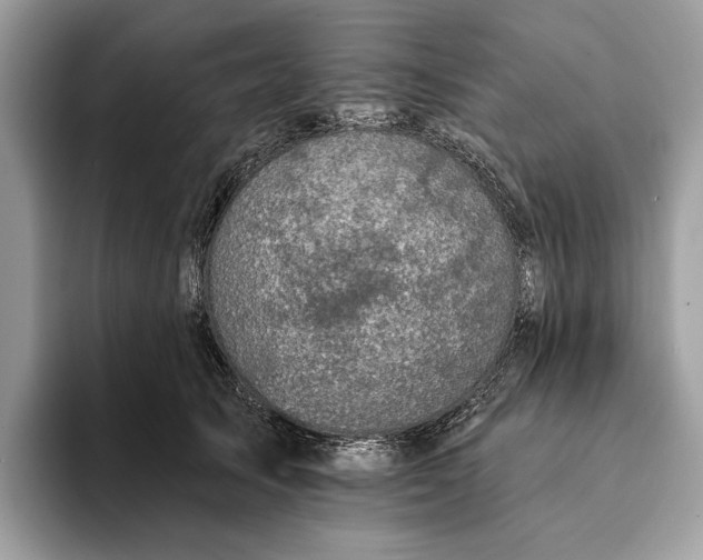 X0000093170705200710171228